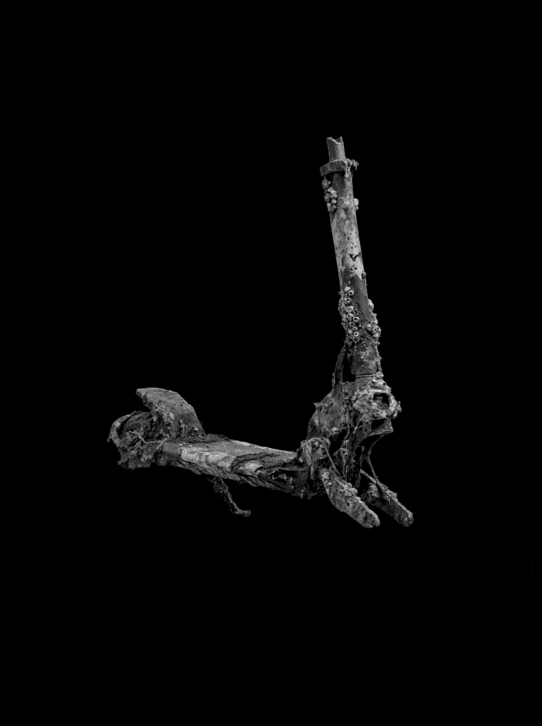 Plow Fragment