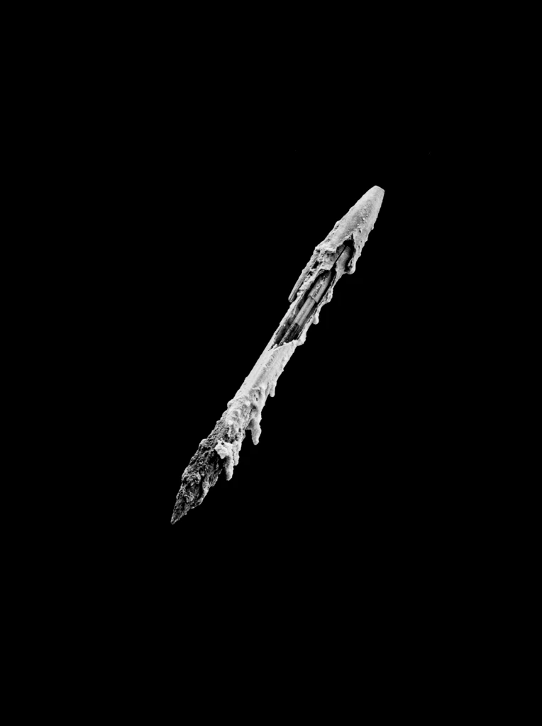 Ritual Wand