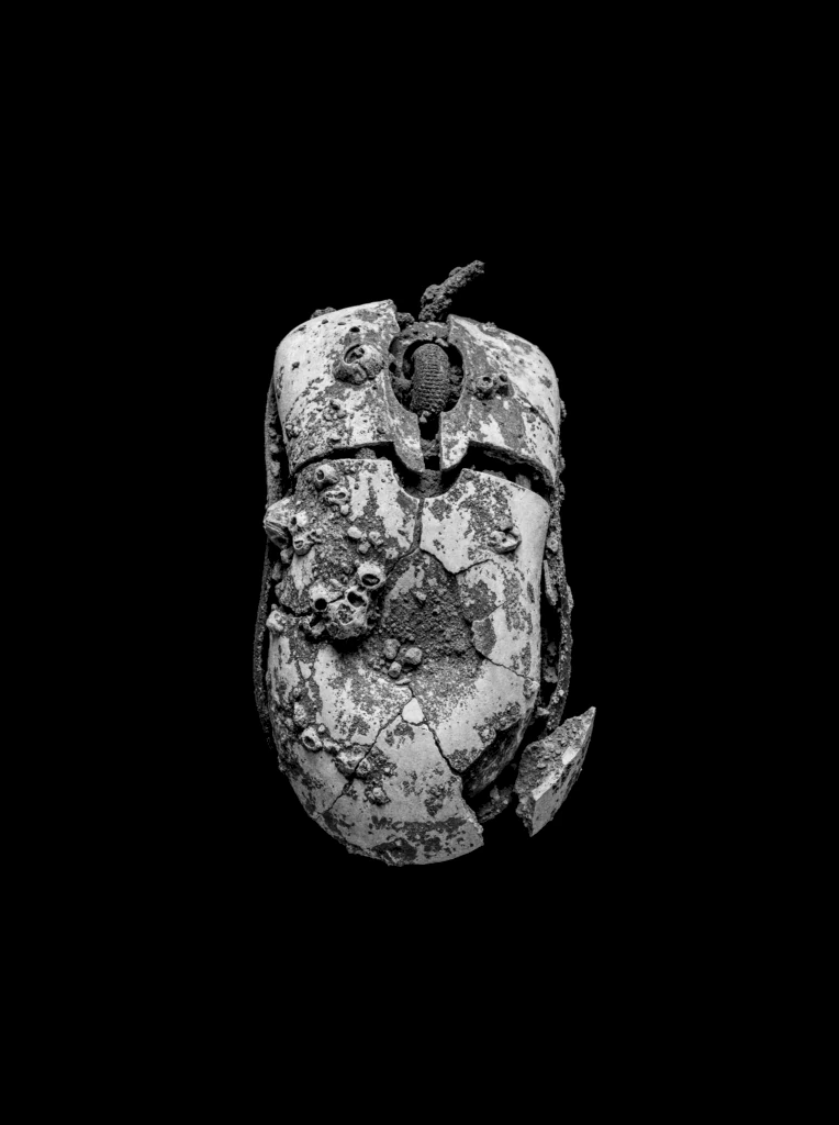 Scarab Idol