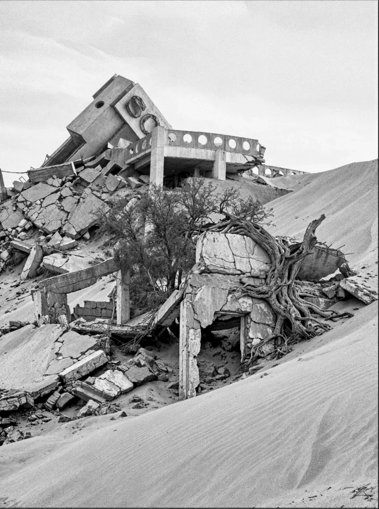 Site 08