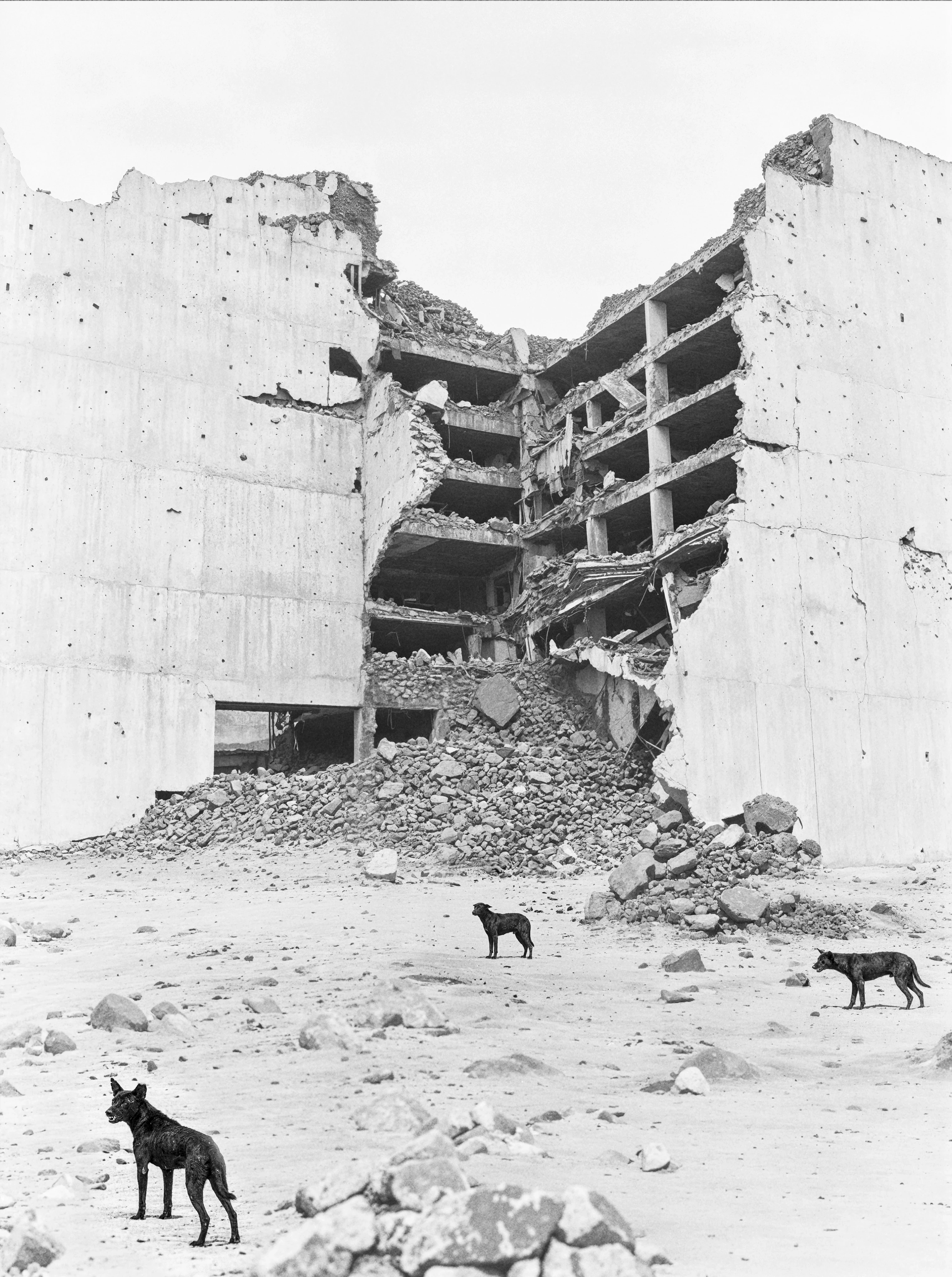 Site 10